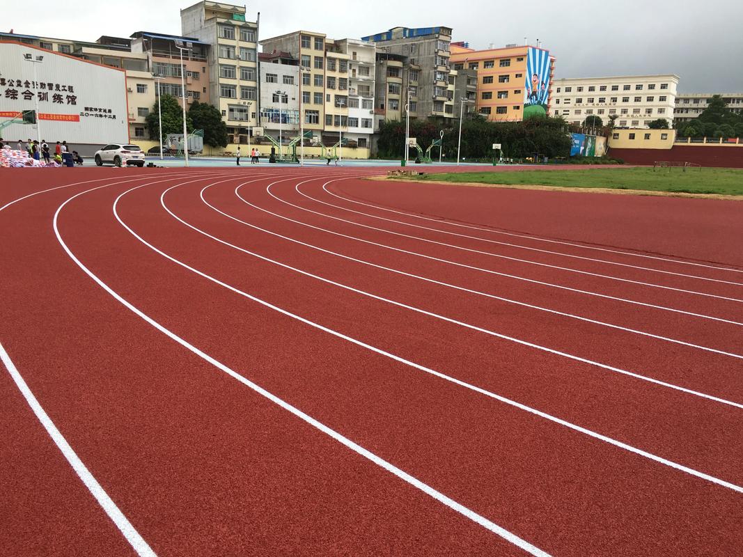 昂进体育案例图片